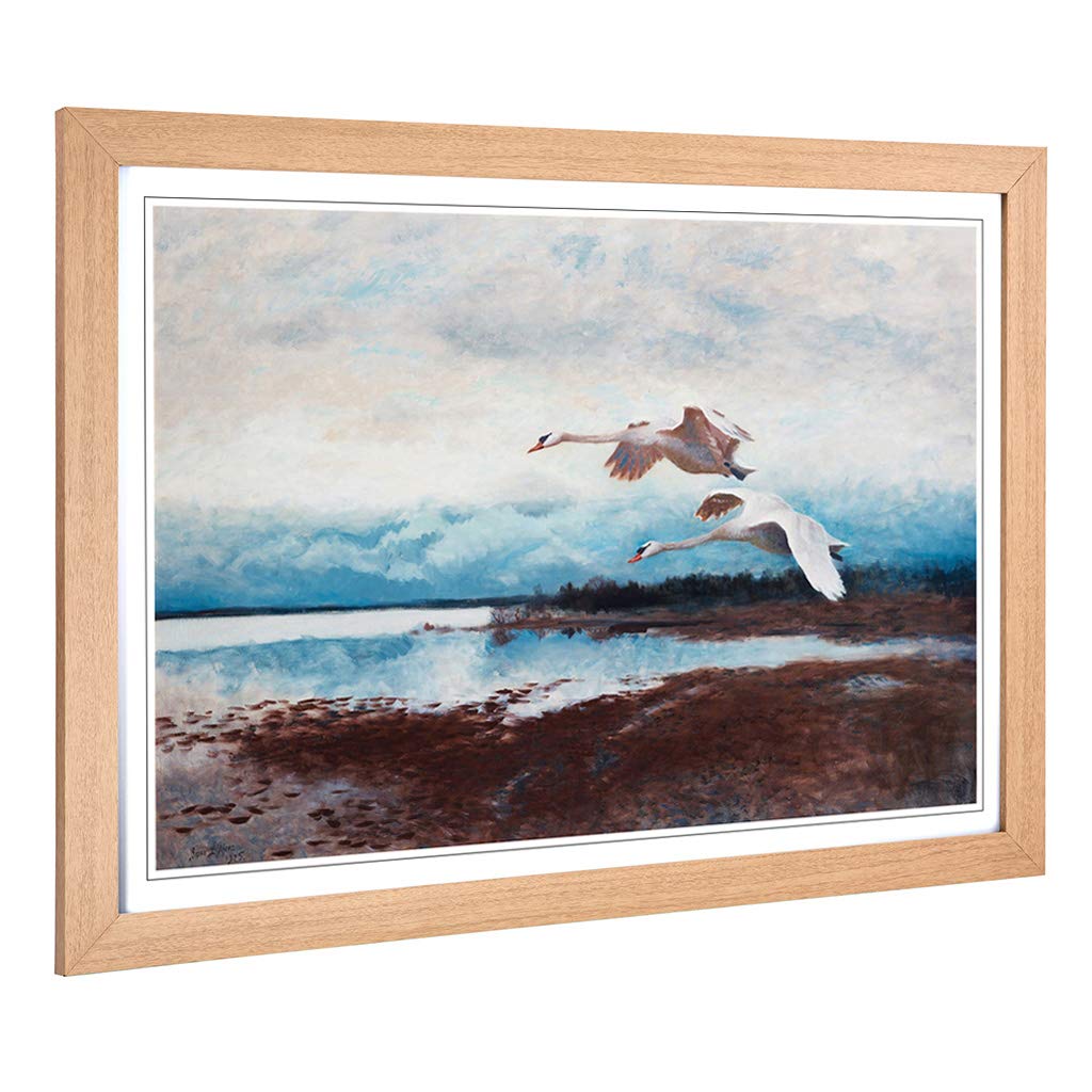 Big Box Art Framed Print of Bruno Liljefors Swans in Flight Design | Wall Art Picture | Home Decor for Kitchen, Living Room, Bedroom, Hallway, Oak, A2 / 24.5x18 Inch / 62x45cm