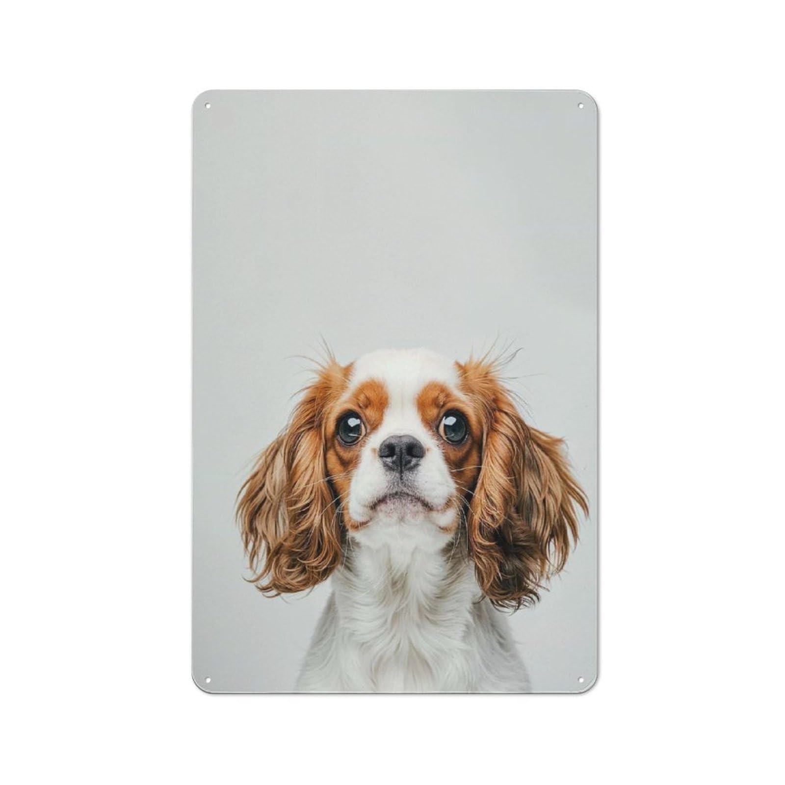 Junmoney Style-1 Bistro Style Bistro Metal Sign 30X20cm Featuring Baby Cavalier King Charles, Shop Wall Decor For Takeaway, Bar, Kitchen Or Counter Area