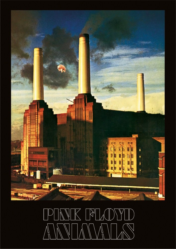 Pink Floyd Multi Coloured Pyramid International (Animals) -Canvas Print 85 X 120Cm, Wood, Multicolour, 85 X 120 X 1.3 Cm