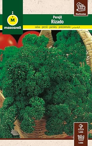 Mascarell Semillas, PEREJIL, Semillas Huerto, PEREJIL RIZADO, Crea tu Propio Huerto Urbano y Cultivo en Casa, Plantas Hortícolas, 8 Gramos