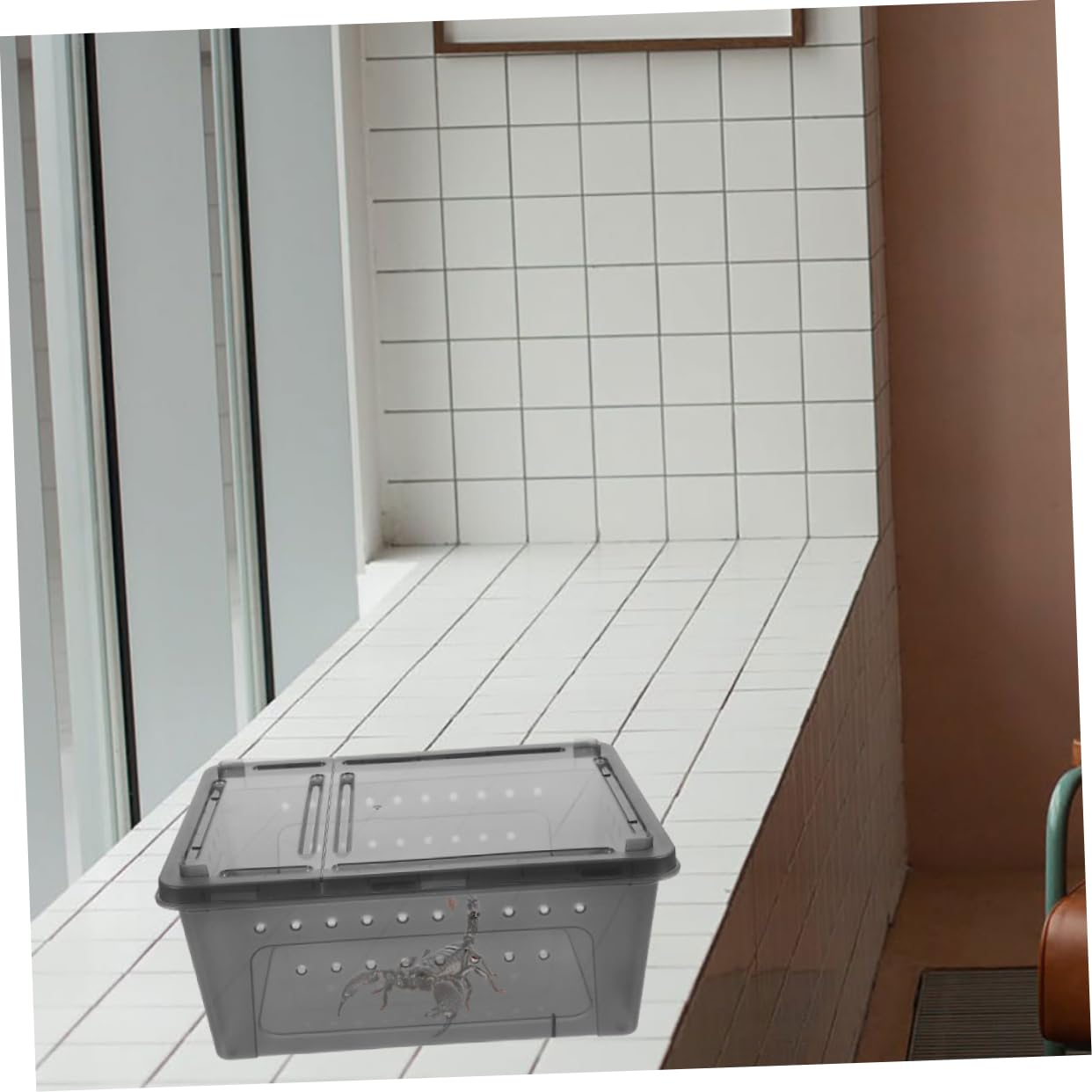 INOOMP 3 Set di Scatole di Riproduzione per Lucertole Accessori per Rettili Scatola di Alimentazione per Rettili Terrario per Ragni Terrario per Lumache 2 Pezzi * 3
