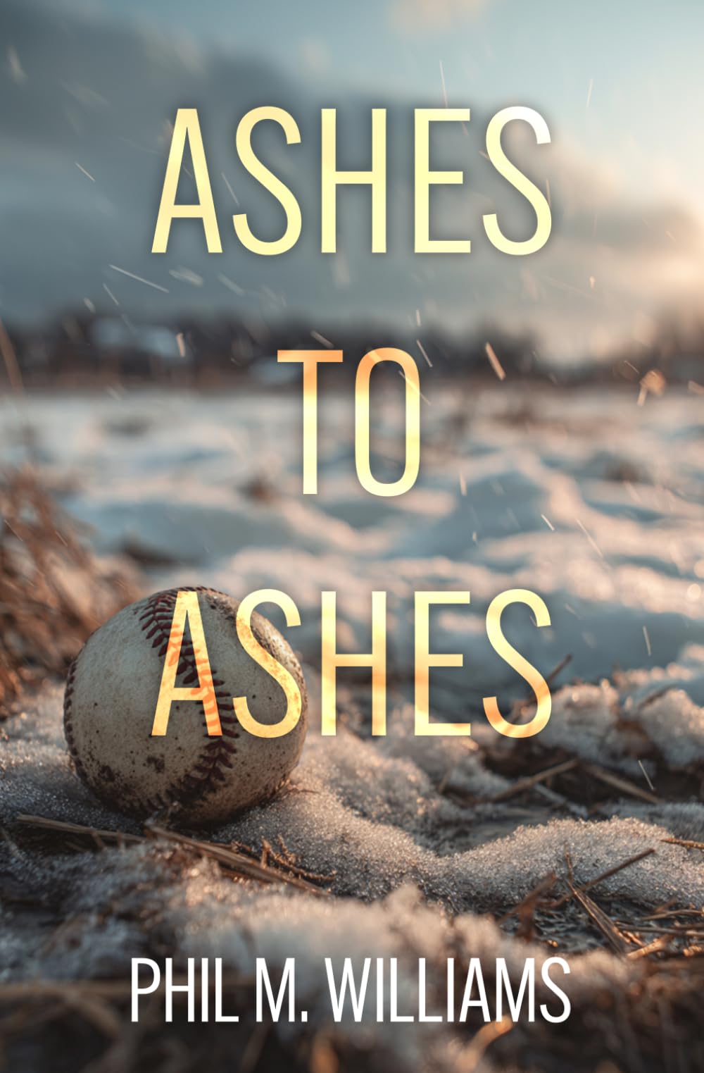 Ashes to Ashes: An Evil Intentions Crime Thriller