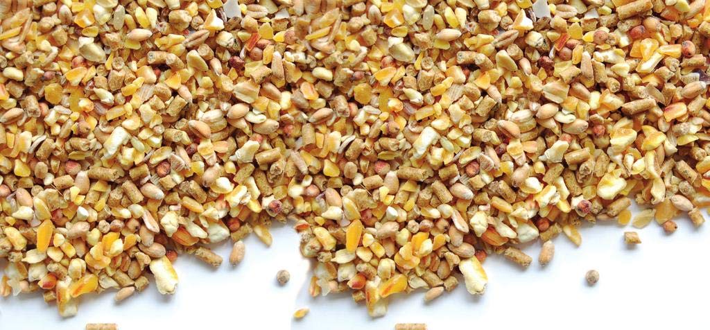 RAGGIO DI SOLE NOSTRALE Becco D’Oro Sacco da 22 kg Ideale per Le Fasi di accrescimento ed ovodeposizione Miscela di granaglie e Pellet per Galline, polli