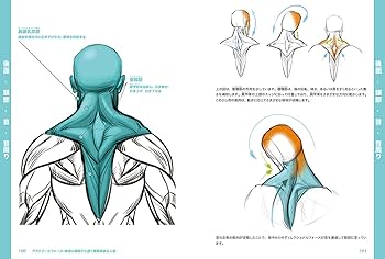 リズムとフォース 第3版　アナトミーとフォース　ライフドローイング　セット Amazon.co.jp: リズムとフォース 第3版:躍動感あるドローイング