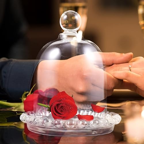 Miniatura 6 de Zerodeko Mini plato para tartas con tapa cúpula de cristal decorativo transparente vitrina centro de mesa soporte para tartas bandeja de aperitivos