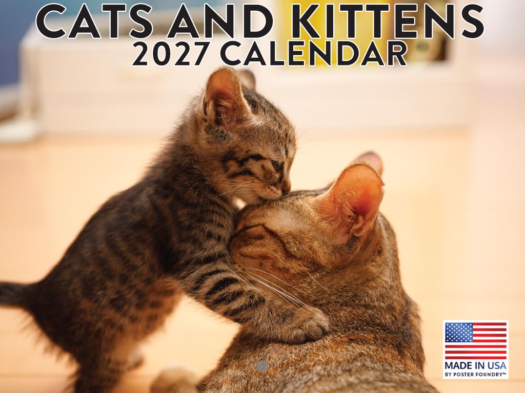 Cats And Kittens Calendar 2025 Monthly Wall Calender | American Made In The USA