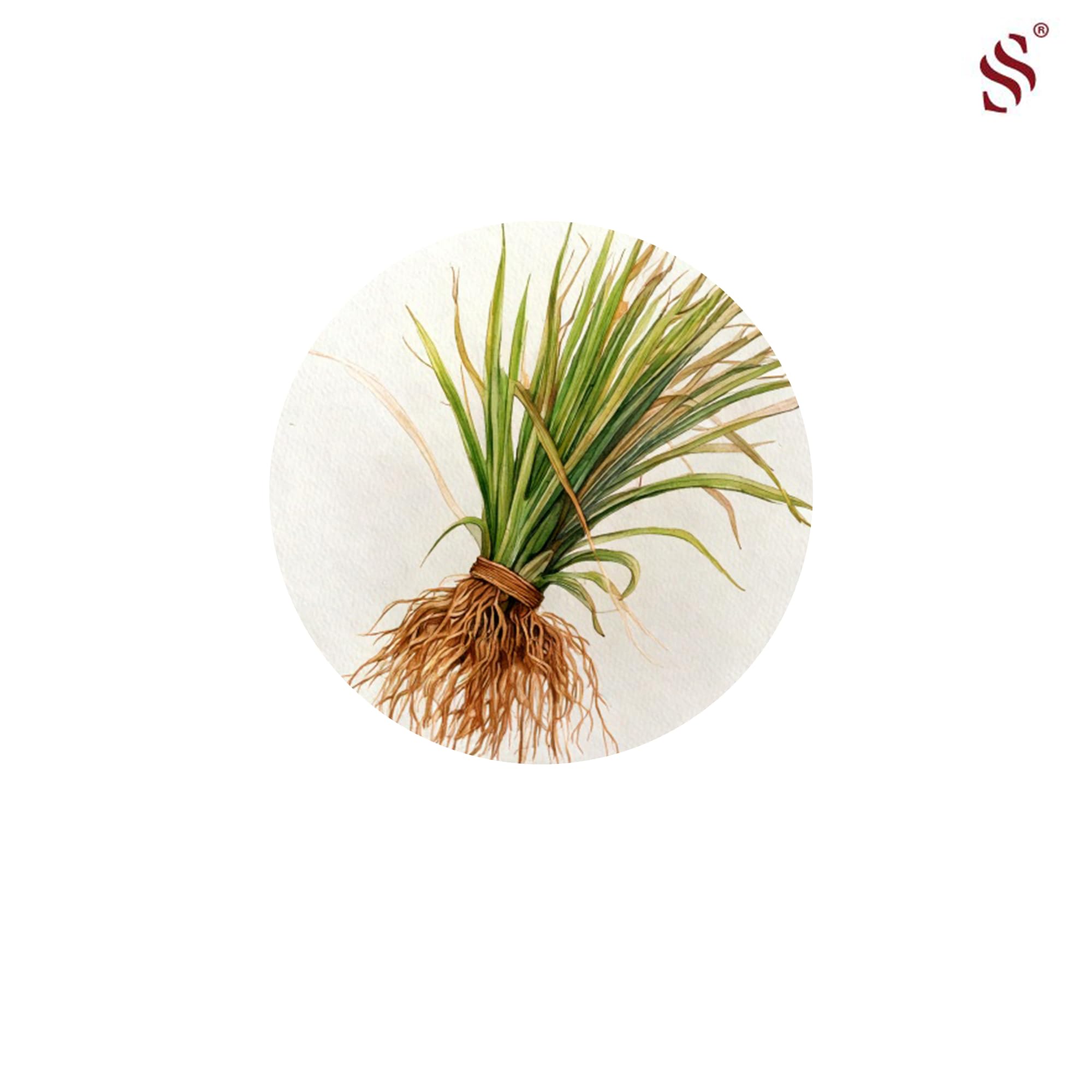 Wkład do dyfuzorów z rozpylaczem Lemongrass, naturalny i świeży zapach do domu i biura, orzeźwiający cytrusowy zapach, 500 ml