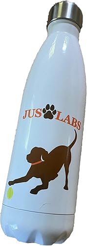 Miniatura 3 de JUS LABS Botella de agua de acero inoxidable y aislada al vacío, termo a prueba de derrames con tapa de rosca, retención de temperatura fríocalor,