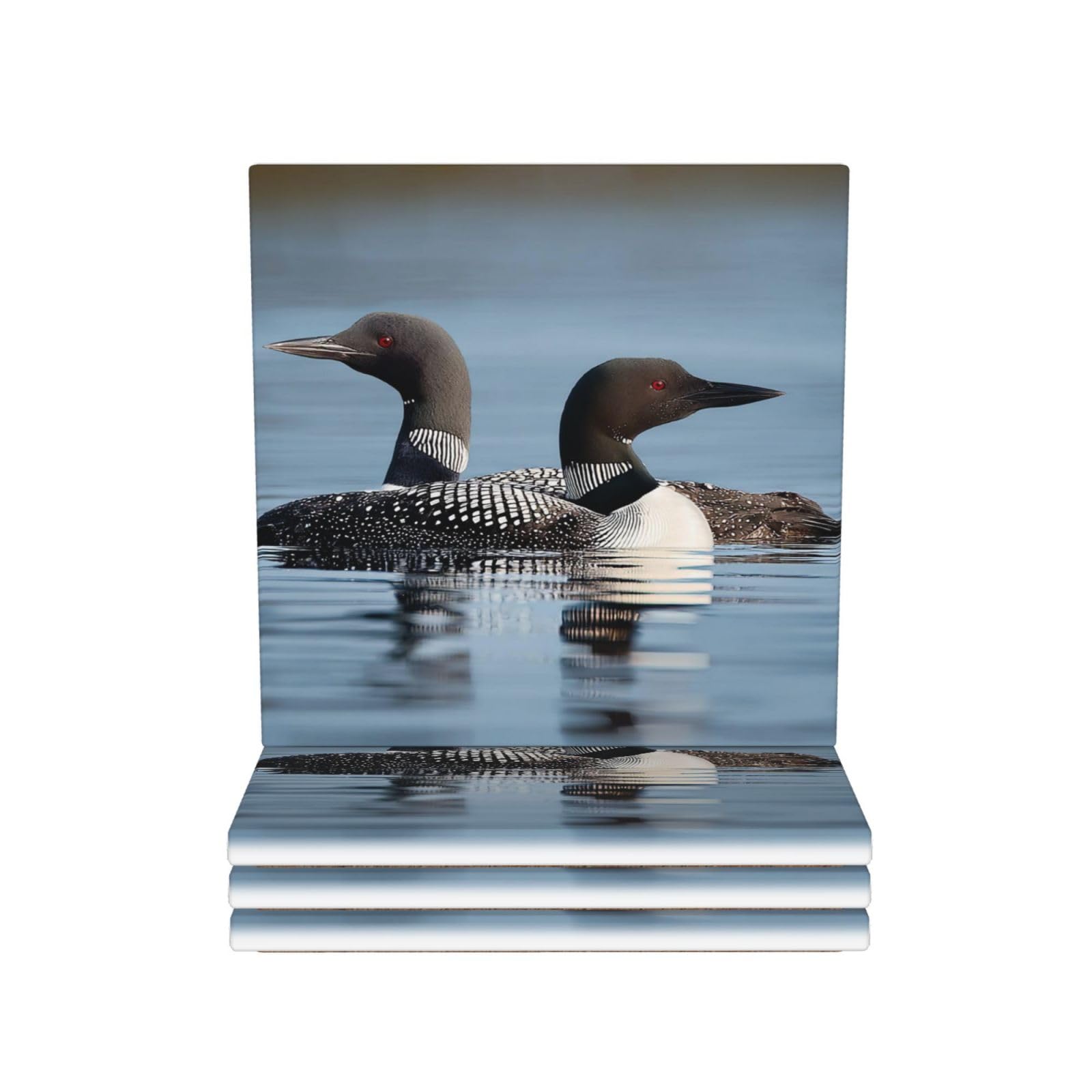 Drink Coasters Set of 4 Ceramic Coaster Loon Birds Coasters for Drinks Cups Mugs Mat Pads Absorbent Non-Slip Decorative Cup Coaster for Coffee Table Kitchen Bar Home Decor