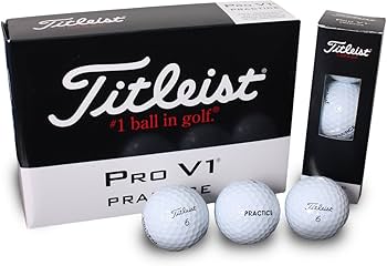 Amazon | Titleist Pro V1 Practise Golf Balls, White (One