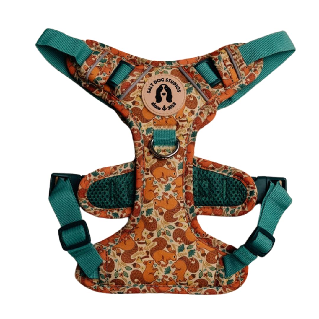 Woodland Dog Harness, Adjustable Mesh Harness for small, medium & Large Dogs, Lightweight Comfortable Harness with Front & Back D-Rings by Salt Dog Studios (Squirrels, Medium)