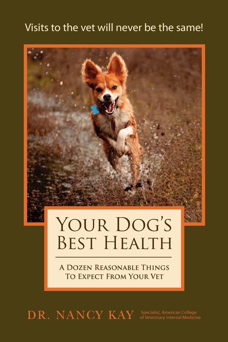 Your Dog's Best Health: A Dozen Reasonable Things to Expect From Your Vet