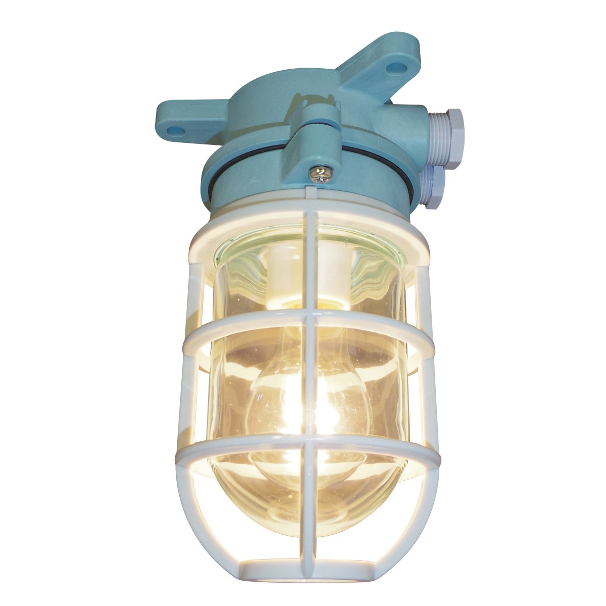 Amazon.co.jp: 日本製 防水 屋外設置可能なマリンライト 船向設計で