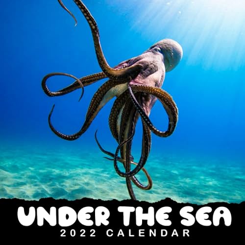 UNDER THE SEA CALENDAR 2022: Ocean January 2022 - December 2022 OFFICIAL Squared Monthly Calendar Months Mini Planner | Classroom, Home, Office | BONUS 4 Months 2021
