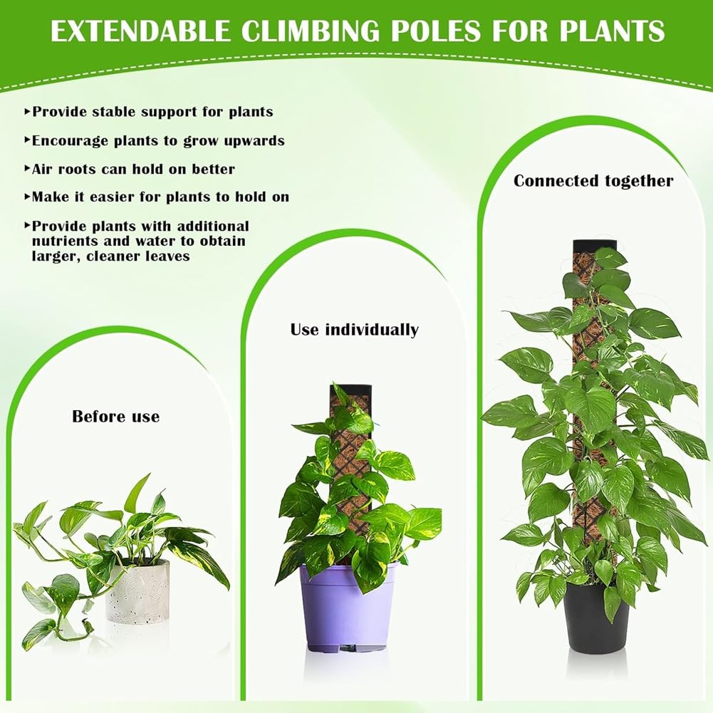 Tuteur en Mousse pour Monstera, Plantes D'Intérieur, 113 Cm, Support pour Monstera et Lierre, pour la Plantation au Jardin
