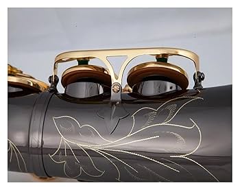 Amazon.co.jp: サックス アルトサックス 管楽器 ブラック