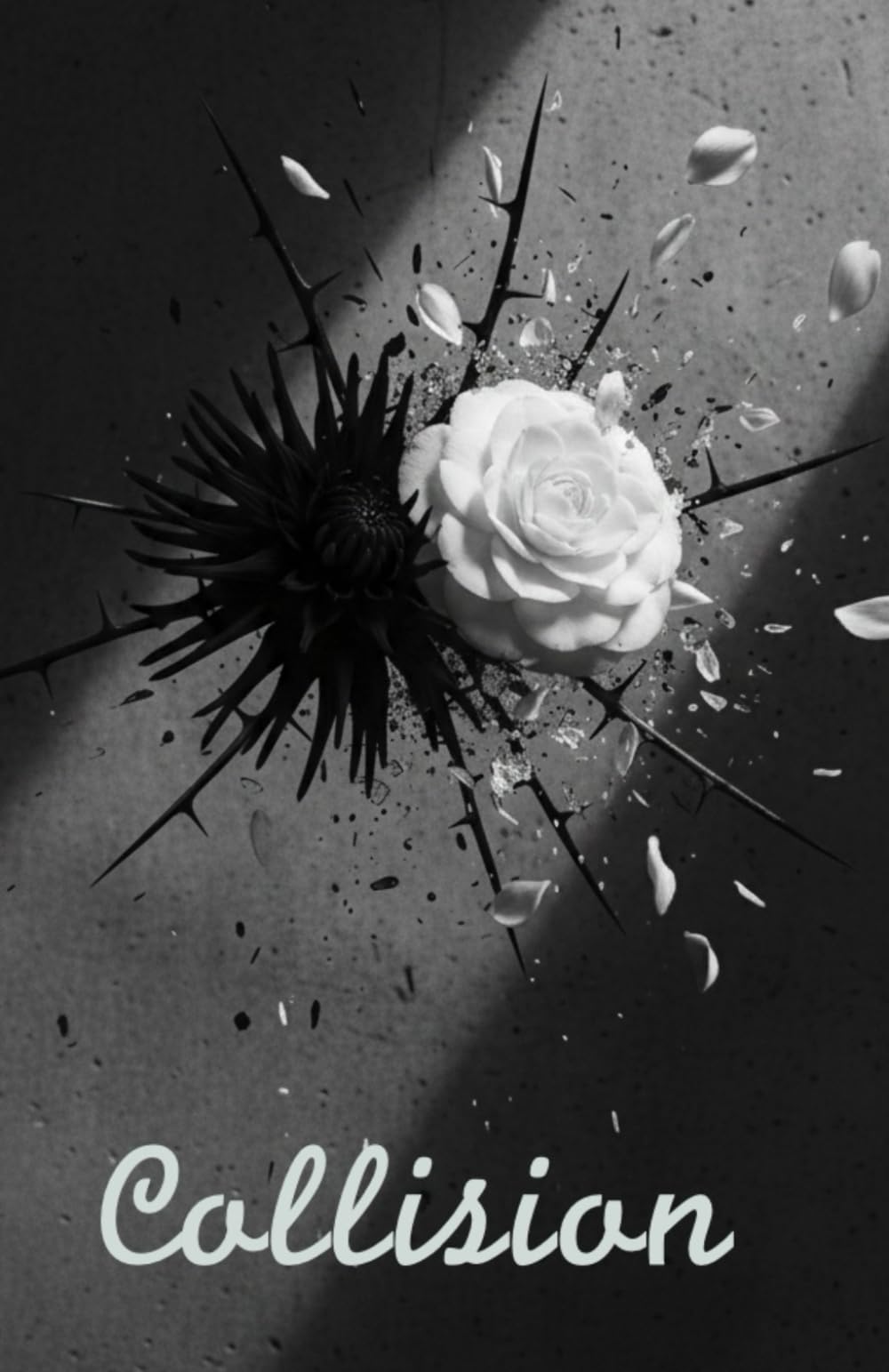 Collision (Echelon)
