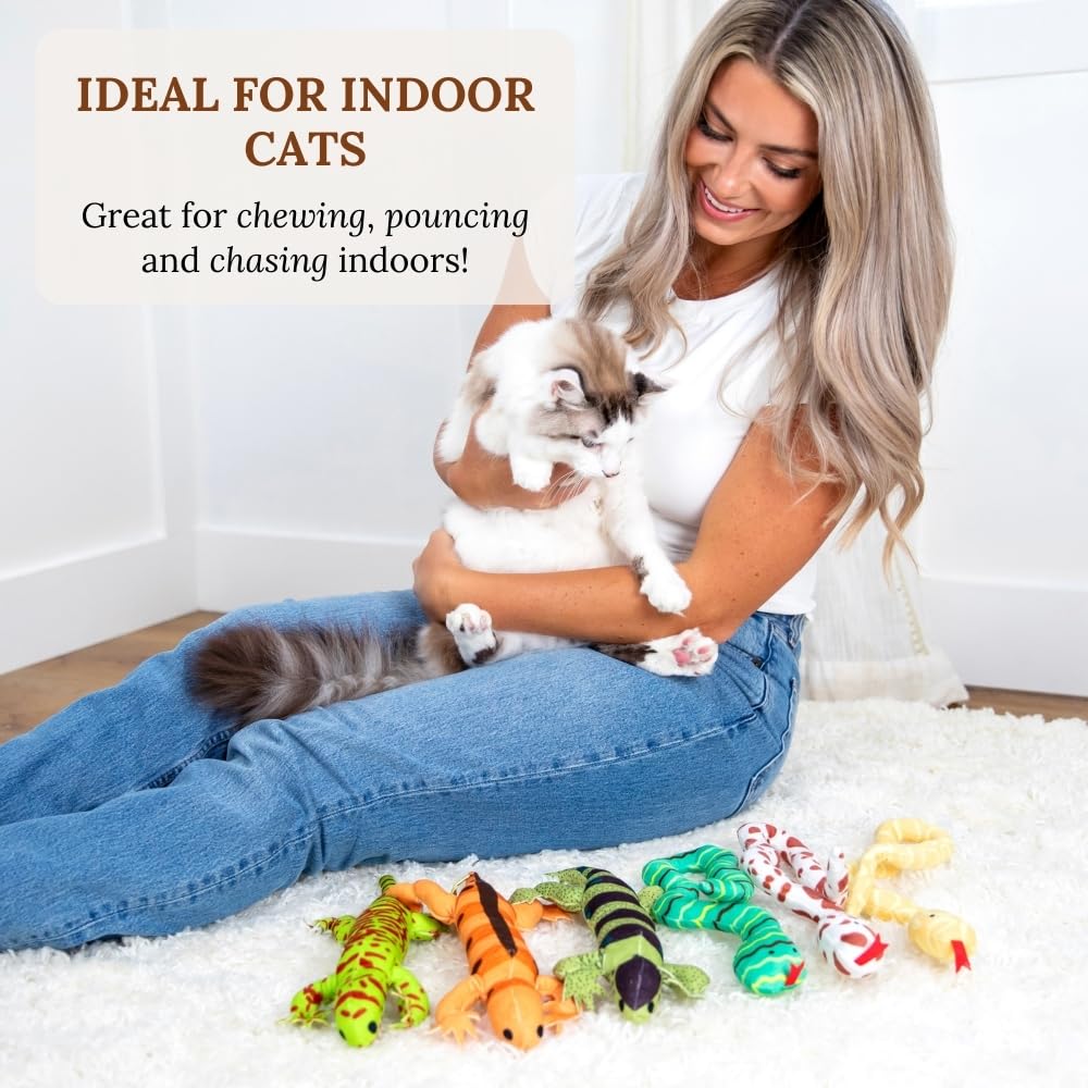 Jouets pour chat - Herbe à chat pour chats - Jouets à herbe à chat pour chats d'intérieur - Jouet pour chat en forme de lézard - Jouet interactif pour chat - Jouet à mâcher pour chat d'intérieur