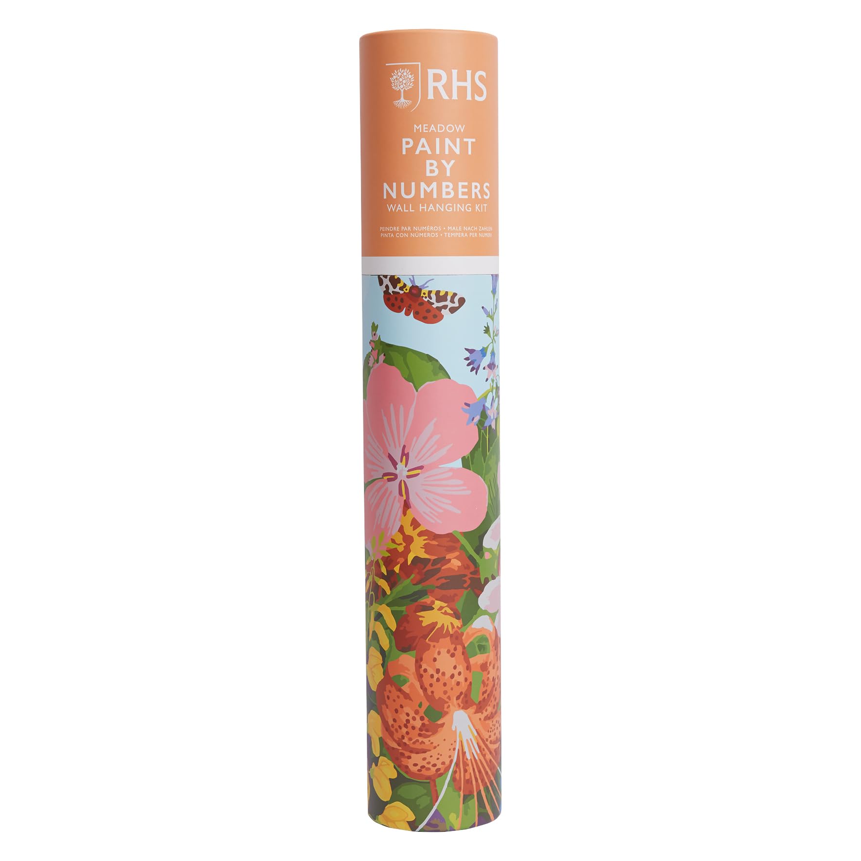 Rhs Multicoloured The Royal Horticultural Society Paint By Numbers Hanging Kit With 24 Paints & 3 Brushes, Meadow Design, 400 X 500 Mm, Learn To Paint For Adults