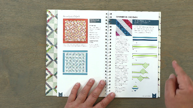 Image of Quilter's 2-1 /2 inch Strip Precut Companion: 20 Block Patterns Featuring JellyRolls, Rolie Polies, Bali Pops & More! (Reference Guide)