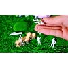 Product Photo 7