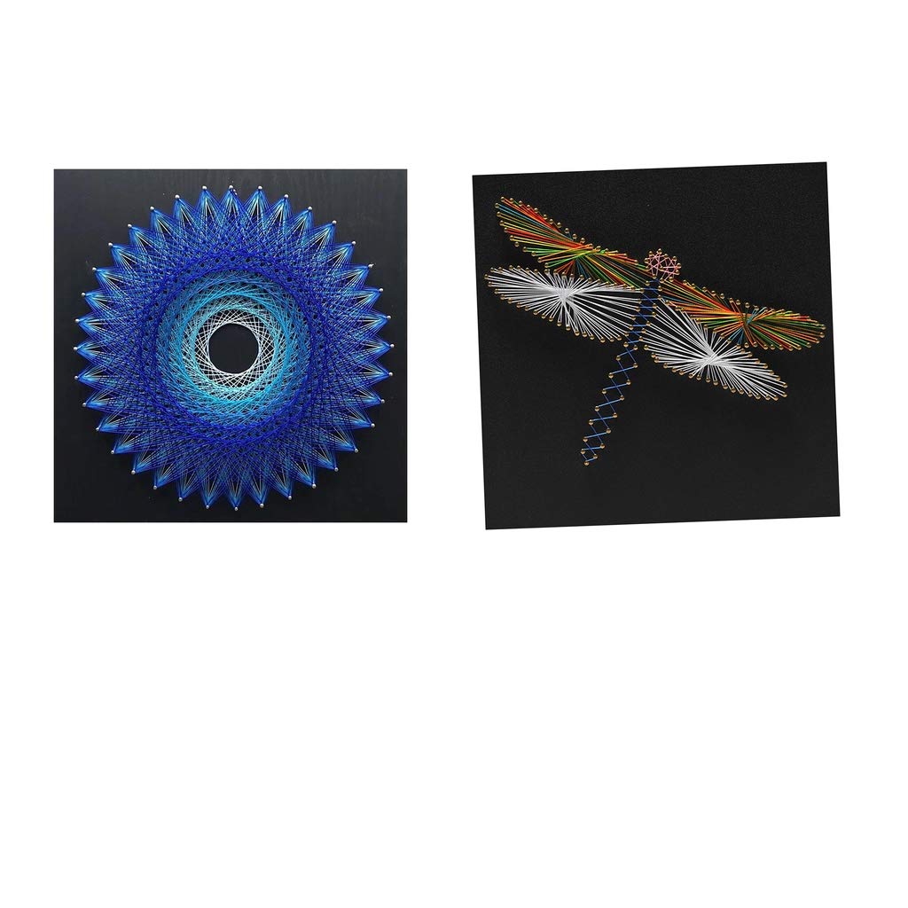 B Baosity 2 Sets DIY Birds Nest & Dragonfly String Art Kits For Kids Adults Crafts