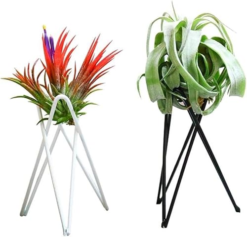 Miniatura 3 de GANAZONO Tillandsia - Juego de 4 macetas colgantes de trípode para balcón, soporte para plantas de alta resistencia, organizador de escritorio en