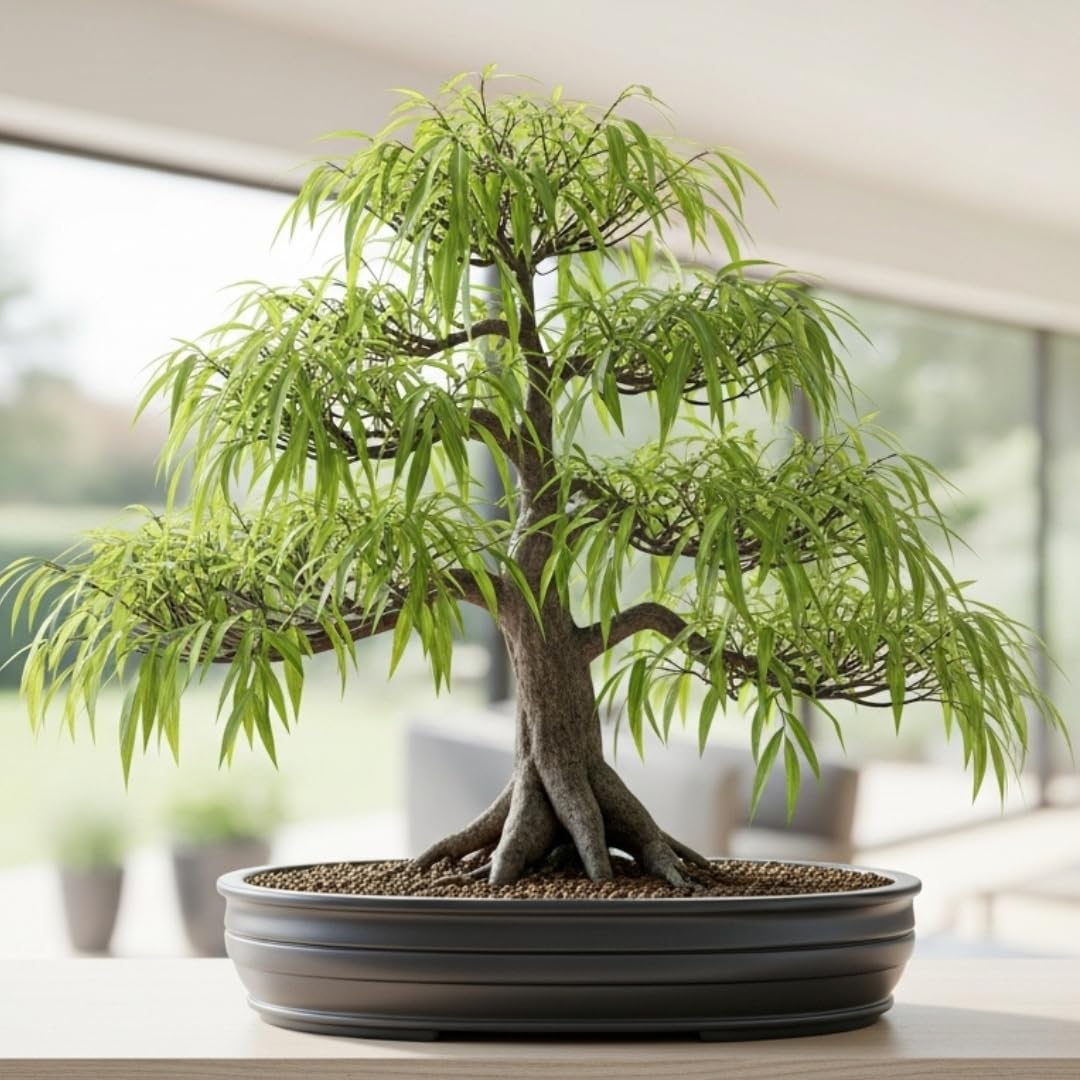 Amazon.com: Abby's Willow Bonsai Forest  5 Willow Cuttings  Easy-to-Grow,  Miniature Trees for Indoor or Outdoor Gardens : Grocery & Gourmet Food