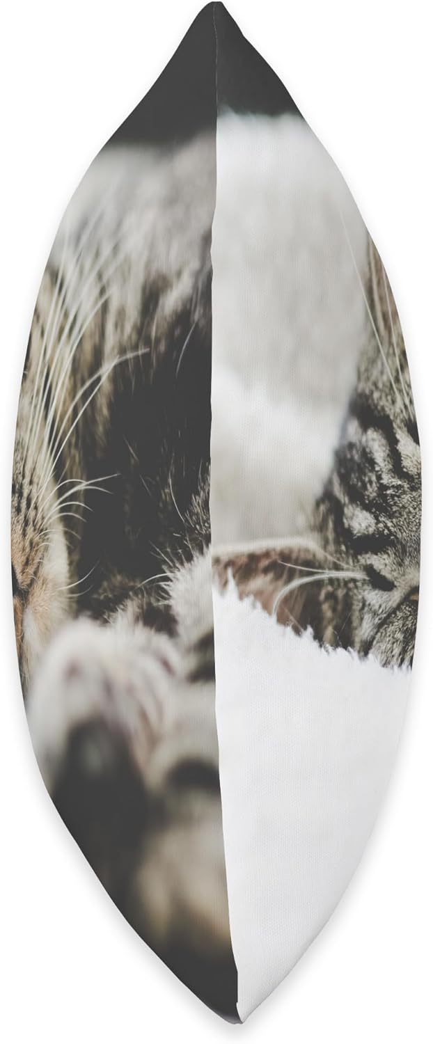 Tabby Cat Throw Pillow