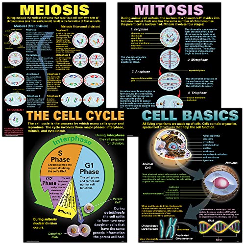 McDonald Publishing Cells Teaching Poster Set (P127), 17 x 22 Inch