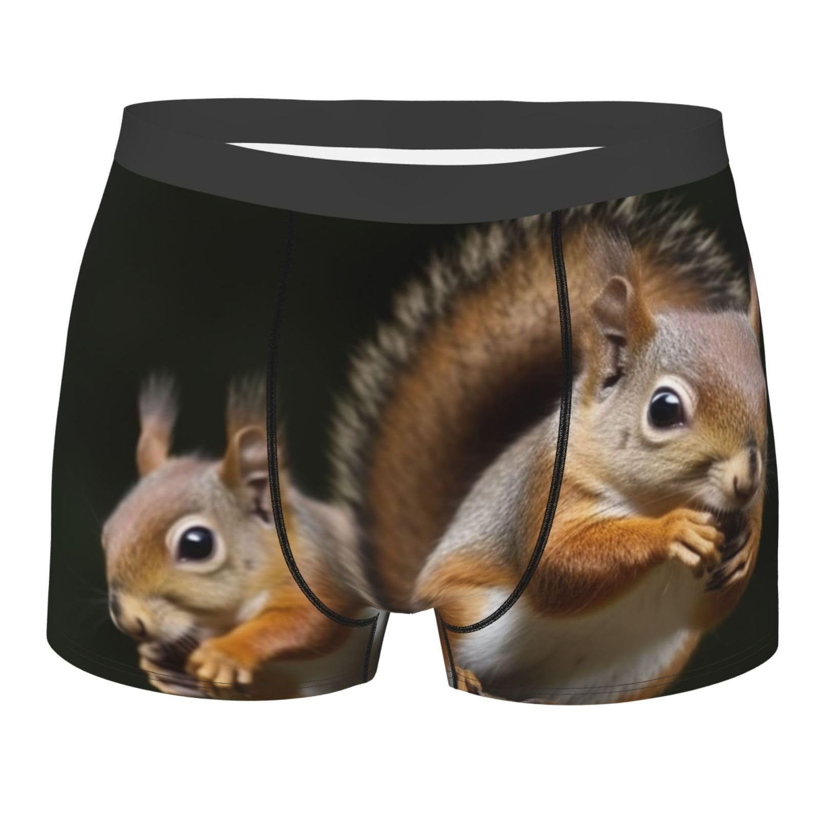 BWLHJKE Squirrel Animal Men's Boxer Briefs Soft Breathable Underwear Stretch Moisture-Wicking Trunks Tagless, Black, Medium