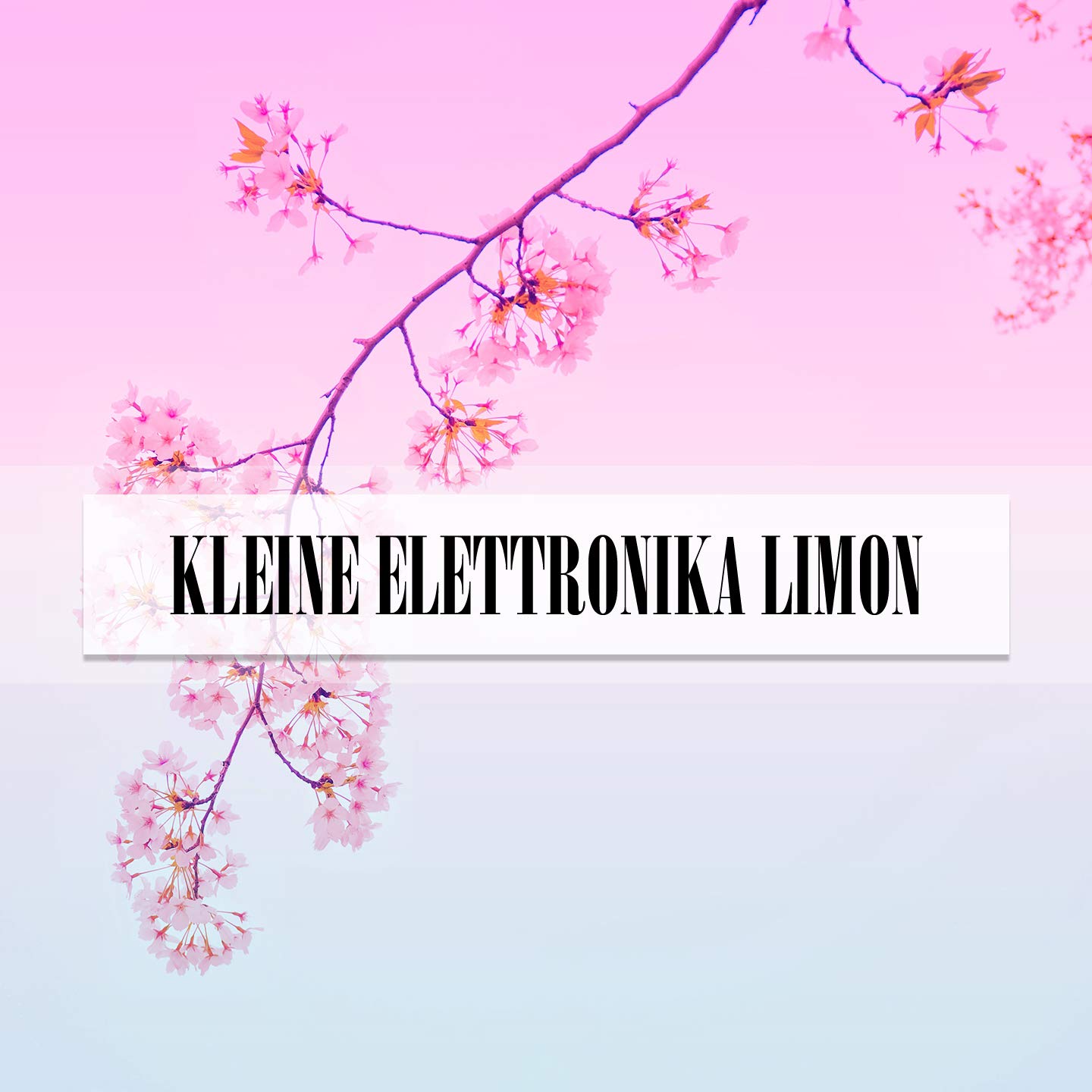 Elettronika (Radio Vrs.)