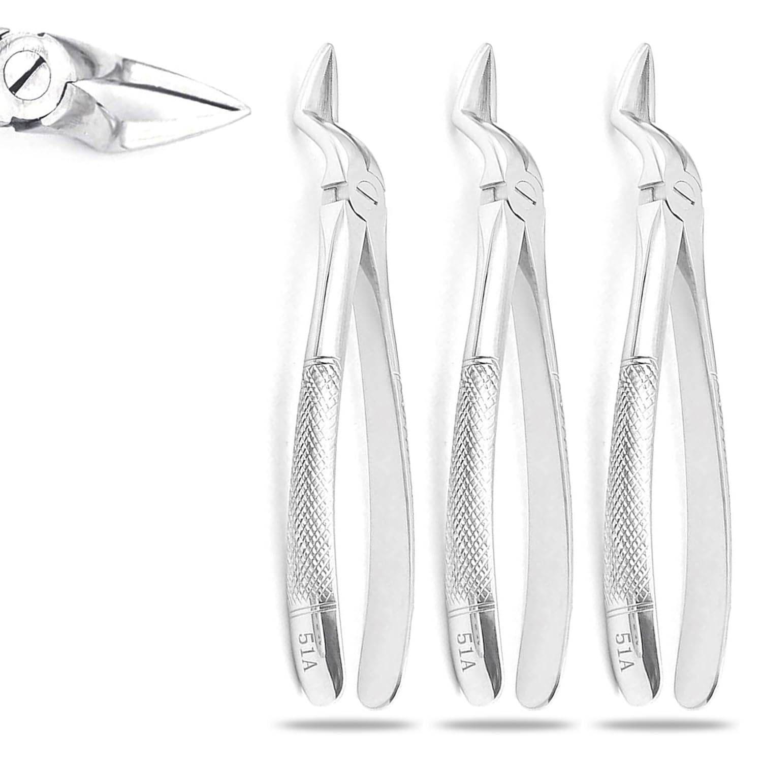 PRECISE CANADA: Set of 3 Dental EXTRACTING Forceps #51A Dental Extraction Instruments