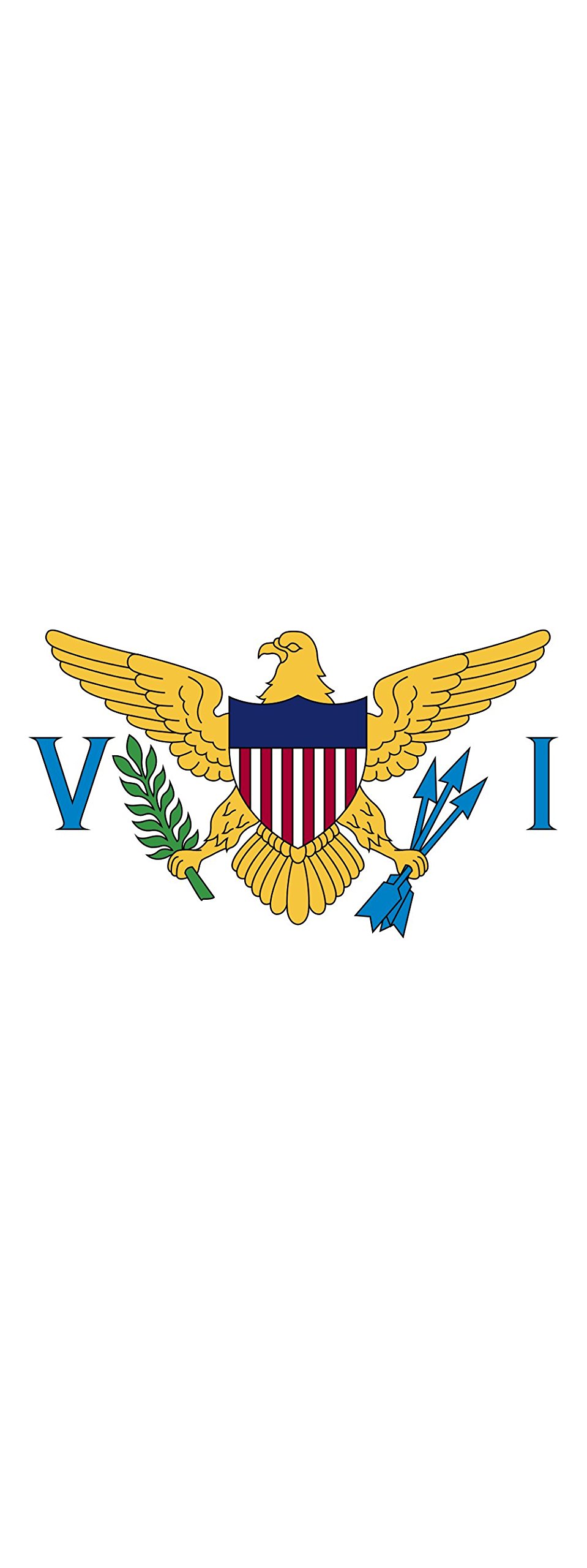 Drapeau Îles Vierges des États-Unis 6m² idéal pour décorer vos grands rassemblements extérieurs