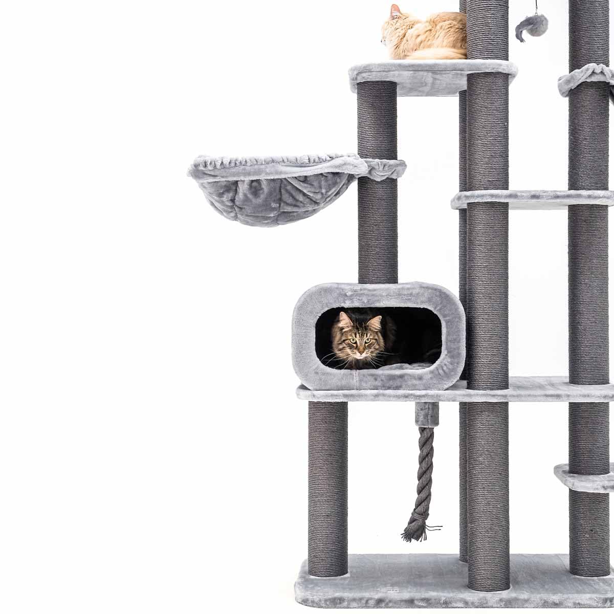 Petrebels Drapak XXL Interstate 199 cm, Maine Coon, duży drapak o grubości Ø 12 pni sizalowych, kolor szary