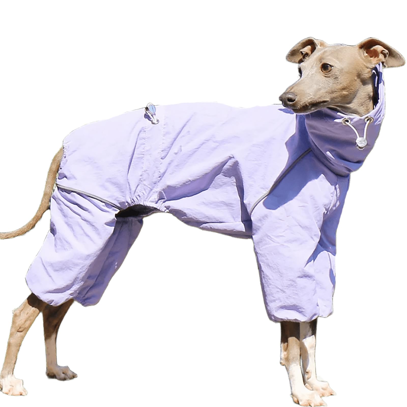 IUOUTG Italian Greyhound Waterproof Jacket, Windproof Dog Coat Jumpsuit with Zipper Lightweight Four-Legged Whippet Sweatshirt Clothes for Dogs