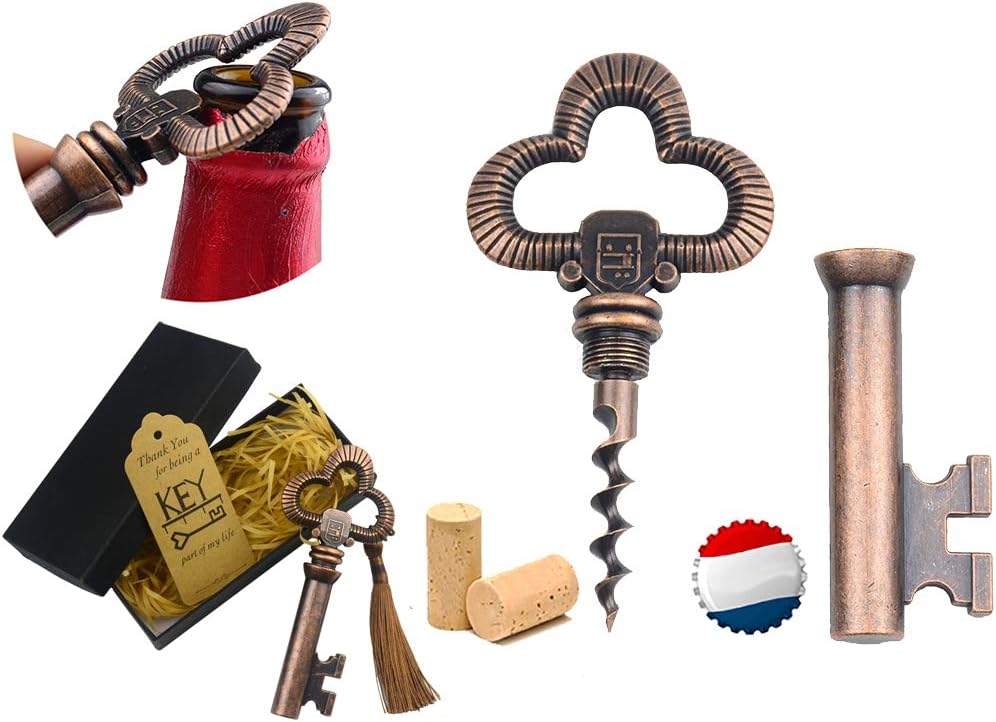 Aokbean Multi-Function Vintage Skeleton Key Wine Bottle Opener Waiters Corkscrew the Favored Choice of Sommeliers, Waiters and Bartenders (Copper)