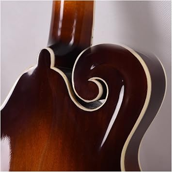 Mandolin Instrument Handmade F Style Mandolin Solid Spruce Top Cow Bone Nut Mandolin Instrument