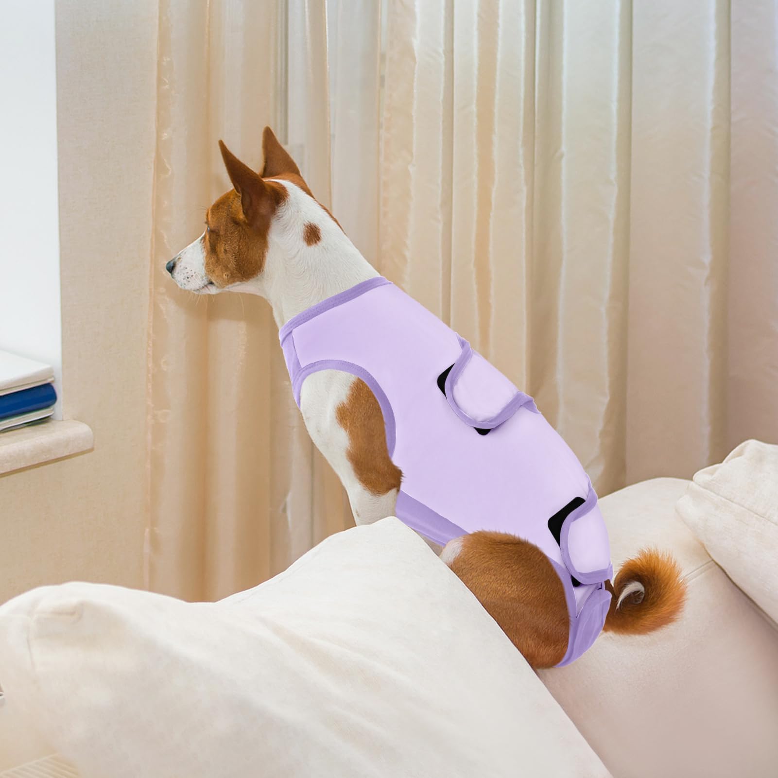 ASENKU Body Post Operatorio Cane Femmina Tutina Recupero Cane per Ferite Pigiama per Cani Protezione Postoperatoria Vestito Cane Colletto Alternativo Dopo l'intervento Chirurgico