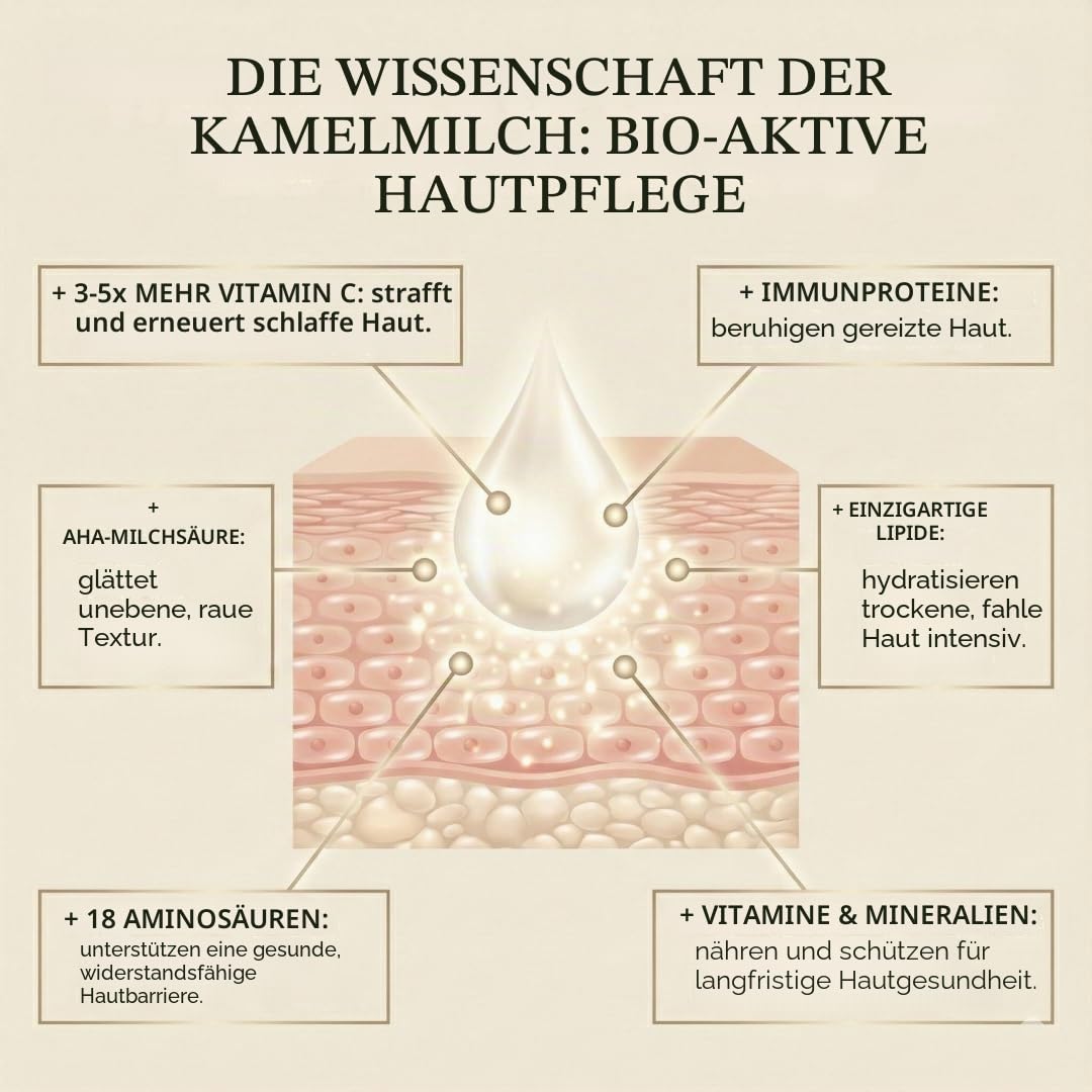 Cammellatte Kamelmilch Körperbutter mit Sheabutter - intensiv pflegende Bodylotion für trockene Haut mit Vitamin C, E - langanhaltende Feuchtigkeit - natürliche Bodylotion Damen, Herren - 100 ml