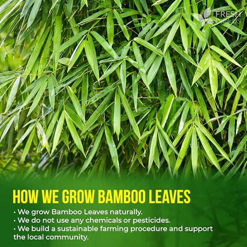 Image of FreshDrinkUS, Premium Bamboo Leaf Tea Bags | 40 Count | Naturally Light & Refreshing Caffeine-Free Herbal Tea - From 100% Natural Bamboo Leaves. Sugar-Free. Vegan