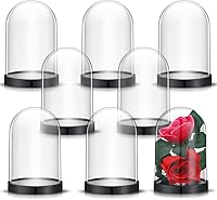 Zhengmy 12-Pack Clear Plastic Dome Display Cases with Bases - Dustproof Cloche Bell Jars for Collectibles, Plants & Tabletop Decor