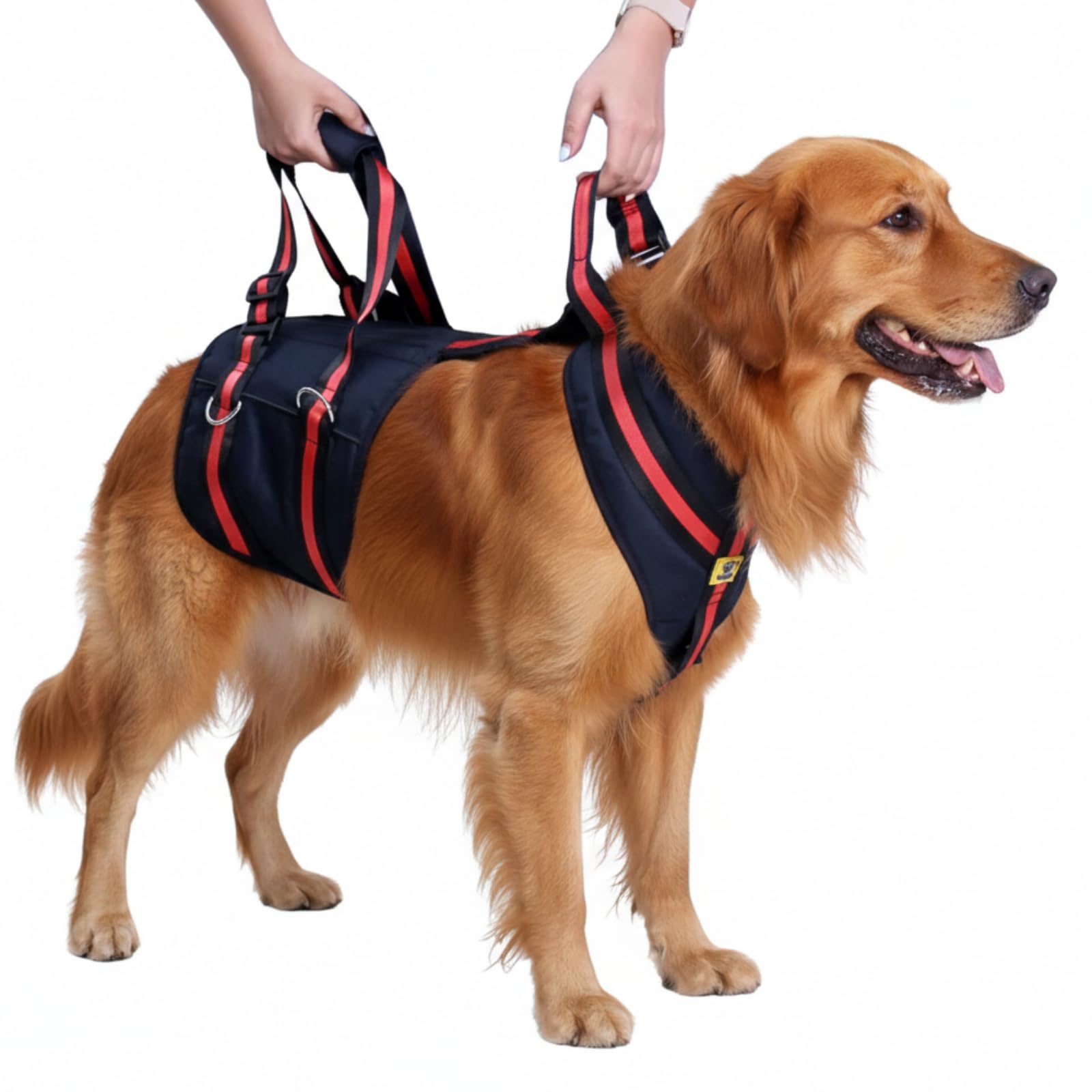 A+a Pets'Dog Lift Full Body Support Harness (XL-2XL)-picture-24