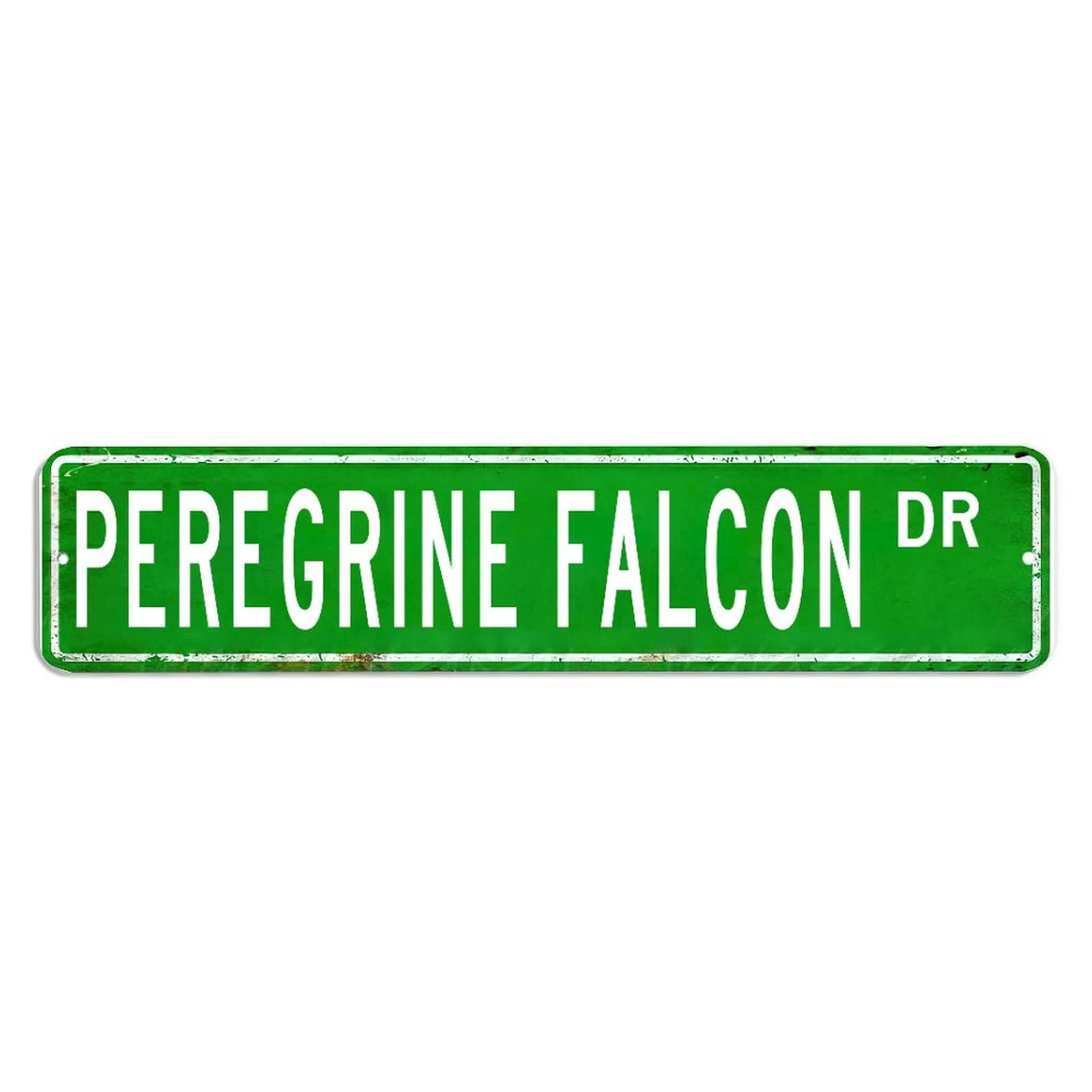 Peregrine Falcon Metal Sign Peregrine Falcon Lover Gift Sign Animal Lover Metal Sign Pet Owner Vintage Metal Wall Art Sign Custom Street Sign Rustic Decor For Porch Plaque Aluminum Tin Metal Signs