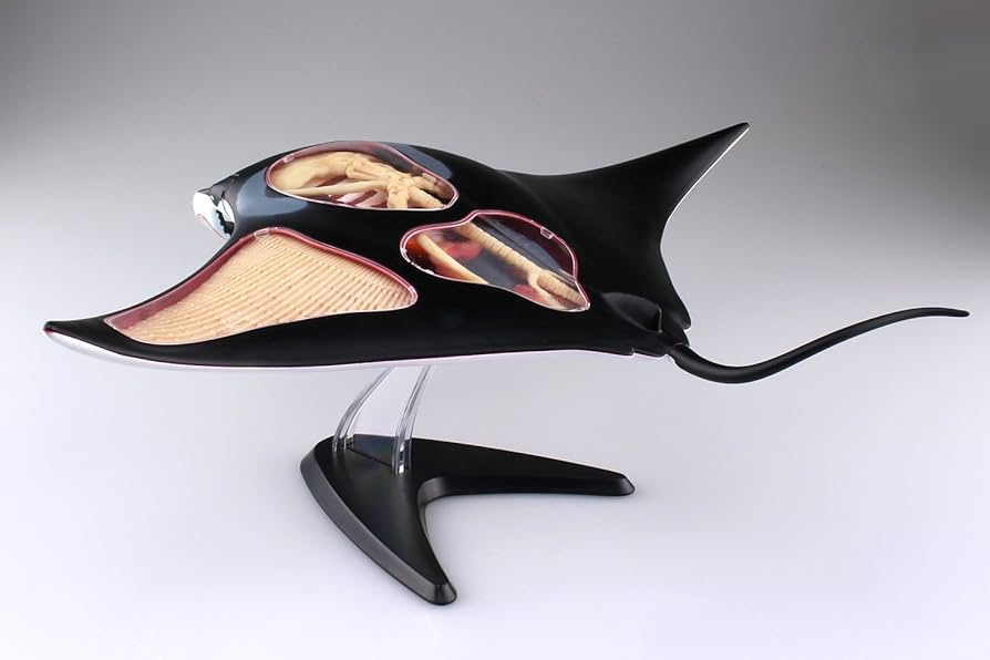 富士山 300mm×300mmの大型模型 富士山 300mm×300mmの大型模型