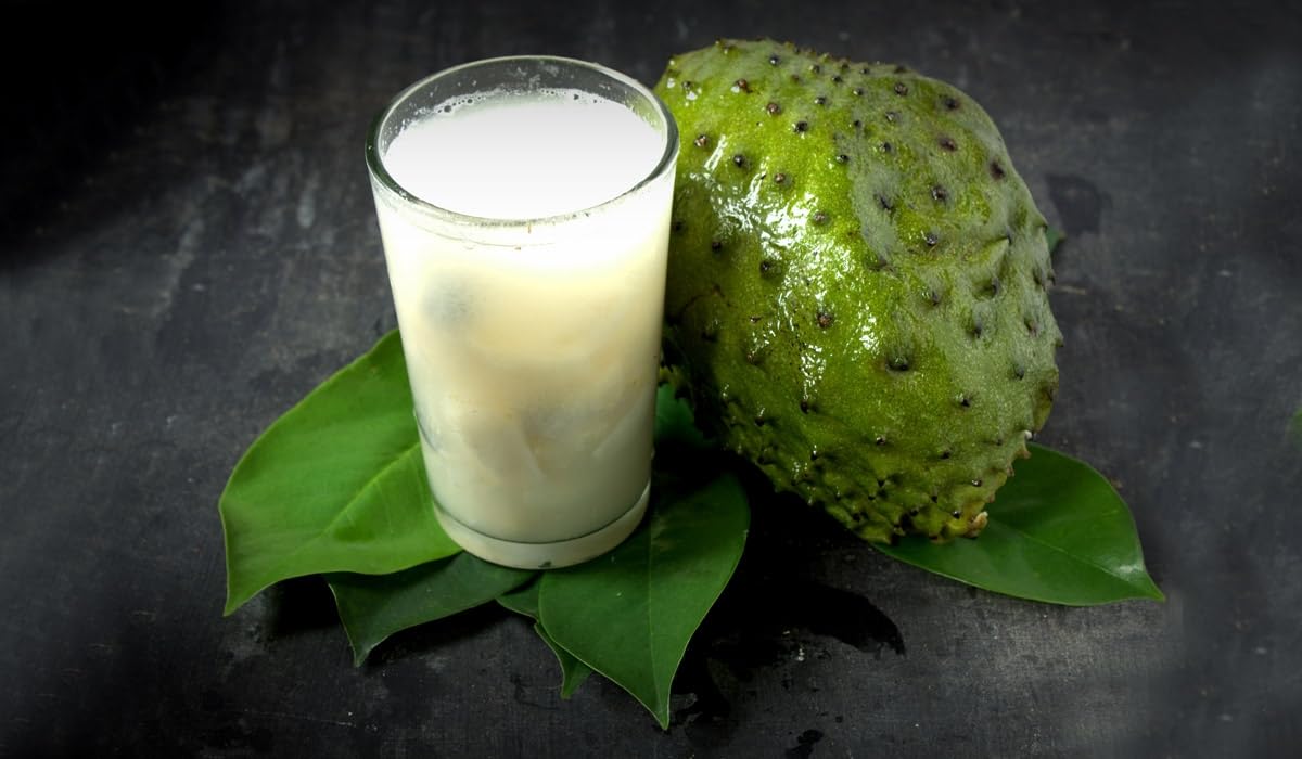 BeGrin Corossol Live Plant Carousel fruit Annona muricata Soursop Graviola Brazilian Paw Paw Lakshman Laxman Plant Phal Plant 1.5-2 ft in Poly (B0DDJSBBCR) Amazon Price History, Amazon Price Tracker