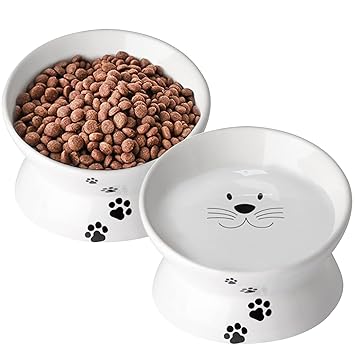 Cat Food Bowls, Elevated Cat Bowls for Cats and Small Dogs, Tilted Pet Feeder Bowl with Raised Stand Protect Cat's Spine, Ceramic Cat Water Bowl No-Spill Stress Free Cat Dish Dishwasher Safe, Set of 2