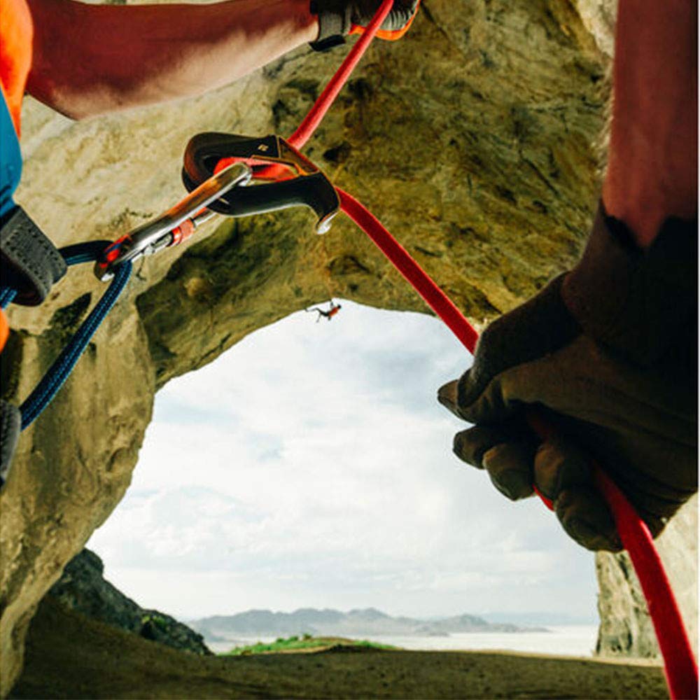 Black Diamond ATC-Pilot Belay Device - SS21
