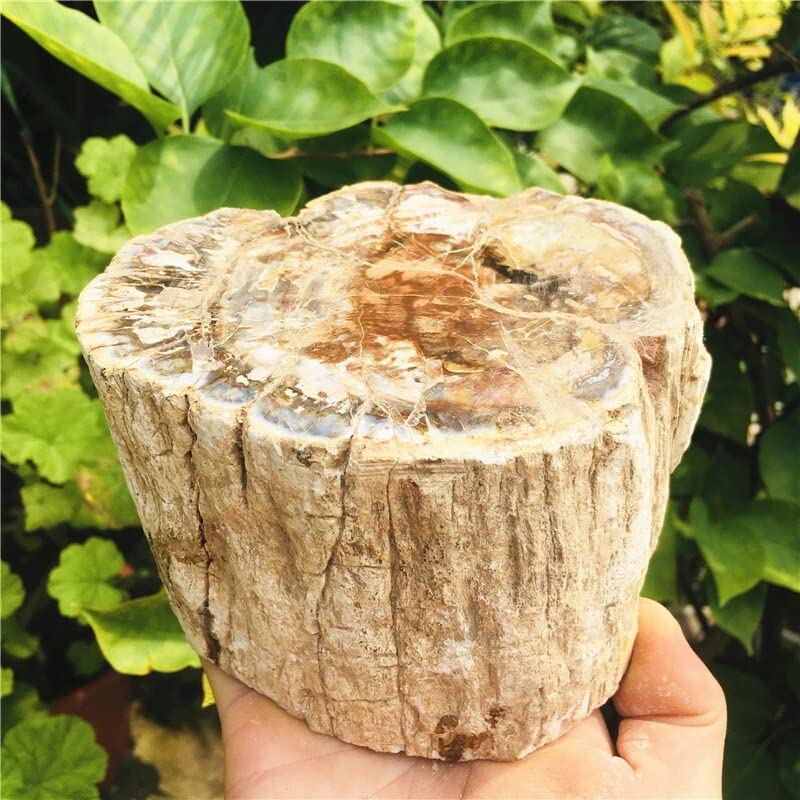 Decoración de cristal natural de 1.5kg con pulidor de madera para interiores 4