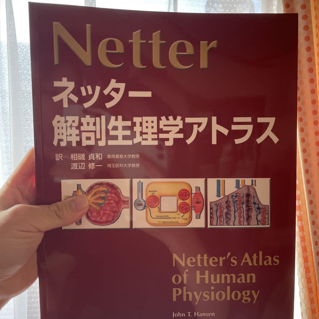 Amazon.co.jp: ネッター解剖生理学アトラス : 産業・研究開発用品
